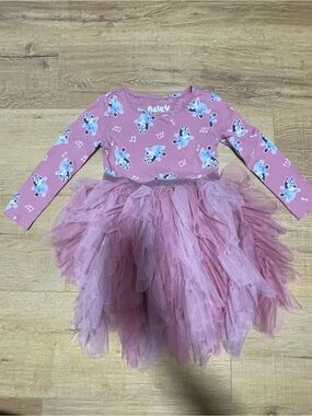 Girls Pink Tulle Tutu Dress Costume with Character Print